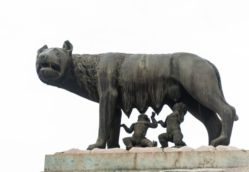 Exploring the Fascinating World of Art of Zoo